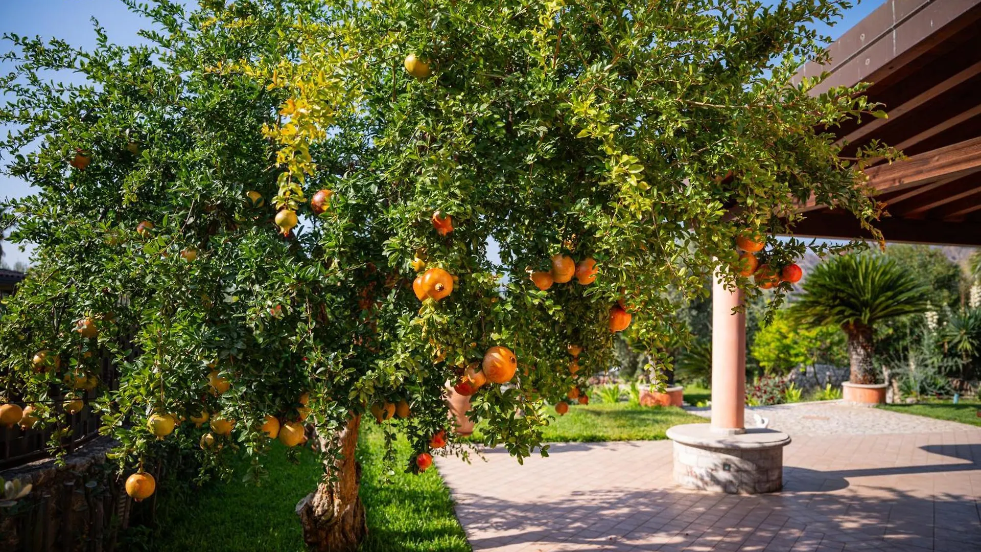 Villa Rita تاورمينا إيطاليا