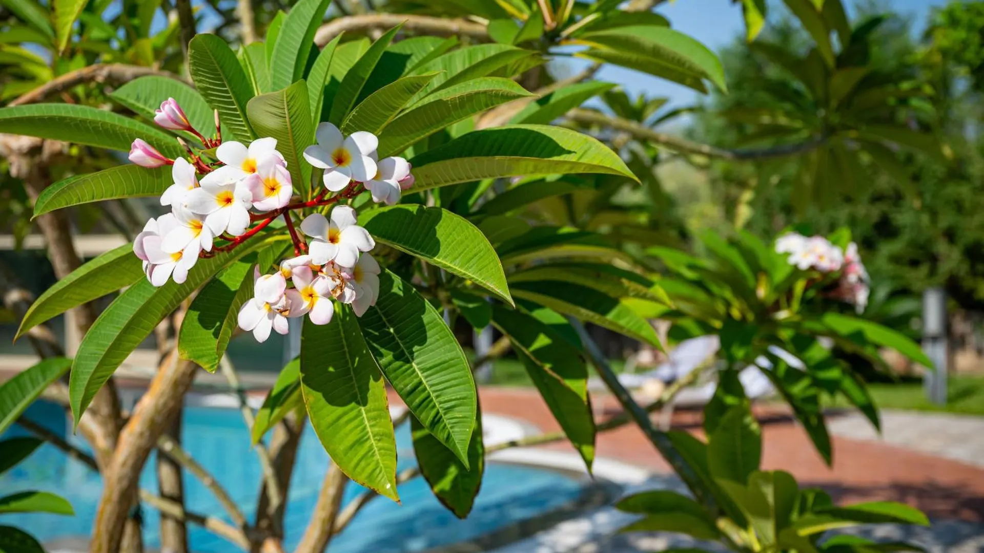Villa Rita تاورمينا